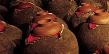 酒水如何招商？一物一码领军者纳宝科技：从经销商视角出发的全链路破局法